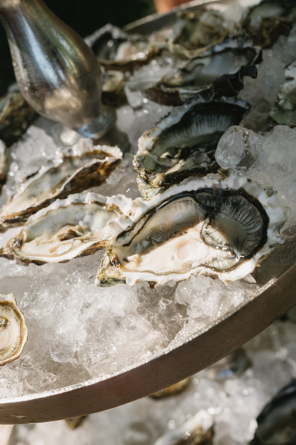 Cakes & Catering Citron Pavot