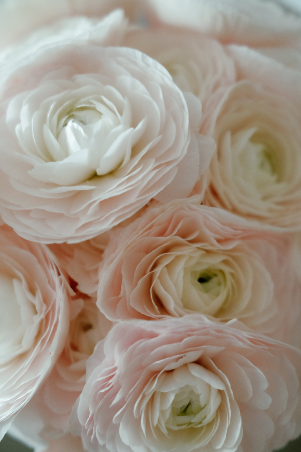 Photographers Hennygraphy