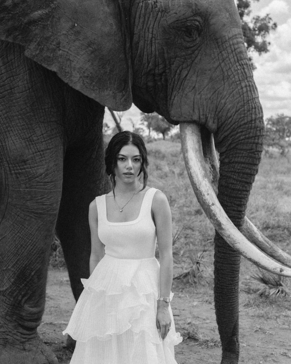 A Soulful African Destination Wedding in Zambia with Roaming Wildlife & a Luxury 1920s Steam Train