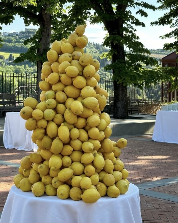 The Top 5 Colors Forecasted for 2026 Weddings