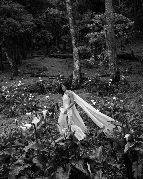 Whispers in the Mist: A Pre-Wedding Tale