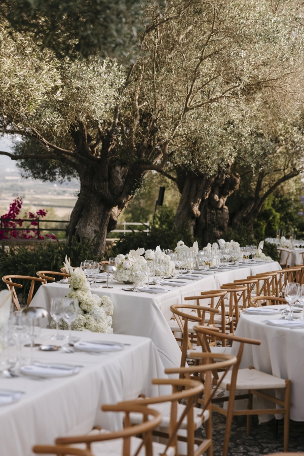 Planners Mille Papillons