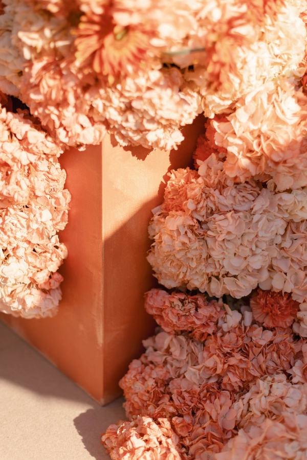 Planners Mille Papillons