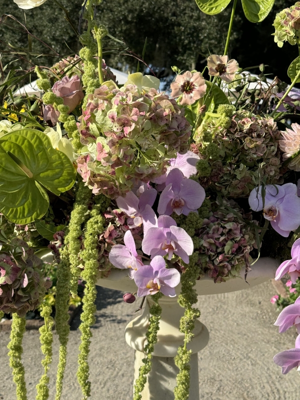 Content Creators Dreamy Content