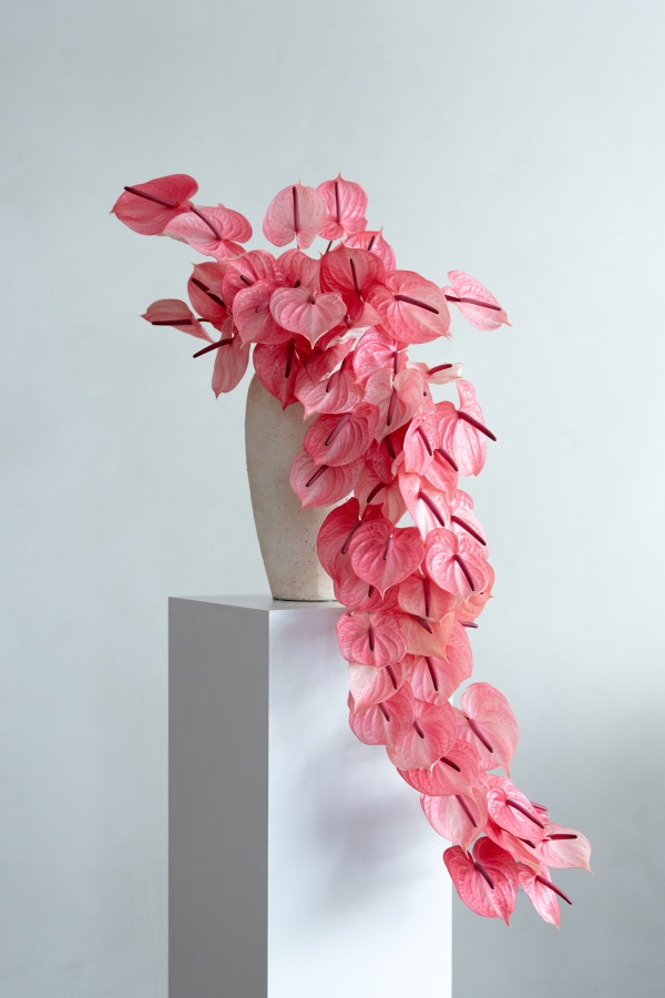 Florists The Flowerslinger