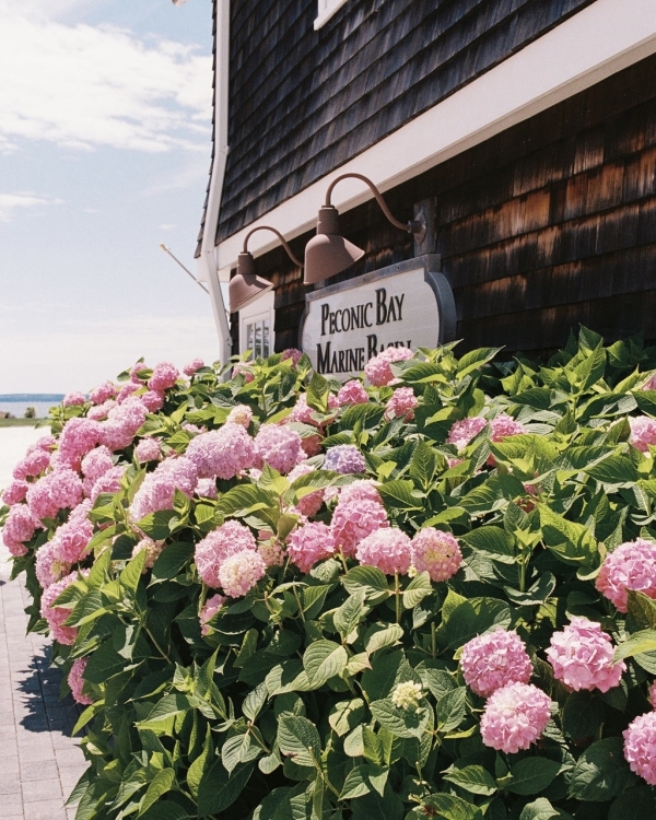 A Stylish Vintage Wedding on Long Island’s North Fork