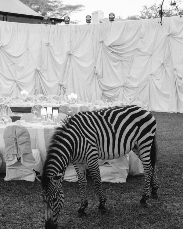 A Soulful African Destination Wedding in Zambia with Roaming Wildlife & a Luxury 1920s Steam Train