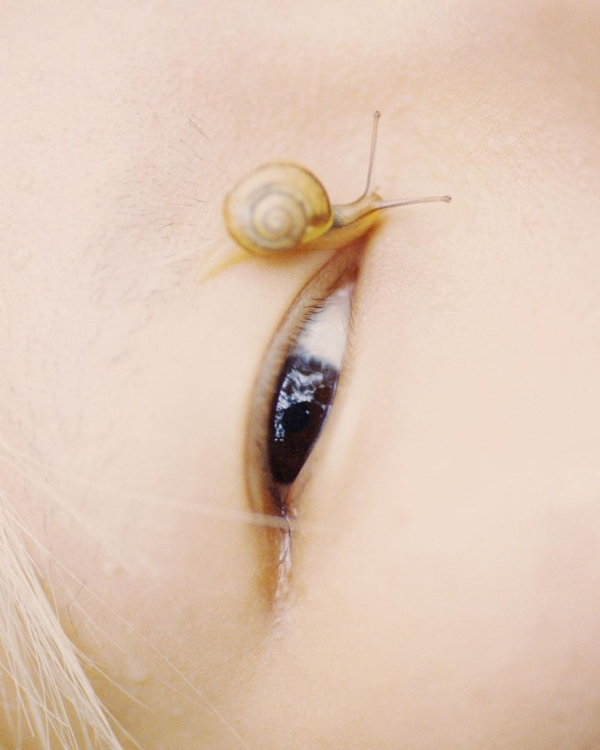 From Snail Slime to Salmon Sperm: The Viral K-Beauty Treatments Brides Must Try