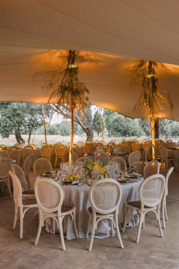 Planners Mille Papillons