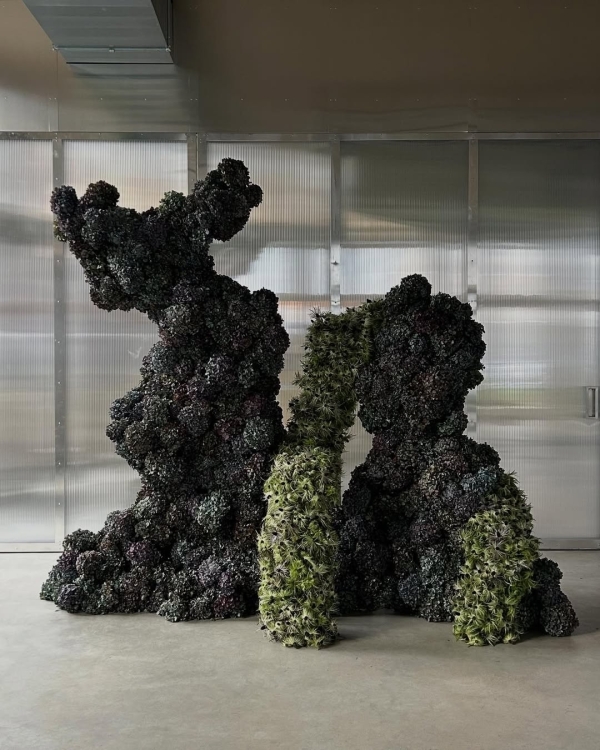 50 Major Wedding Trends for 2026