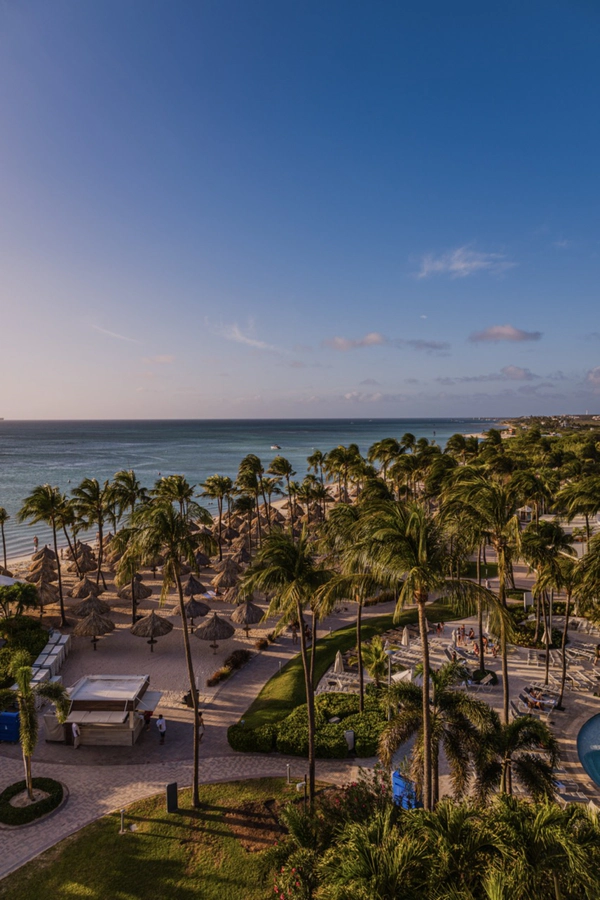 Aruba Marriott Resort & Stellaris Casino, wedding venues in Aruba — photo 23