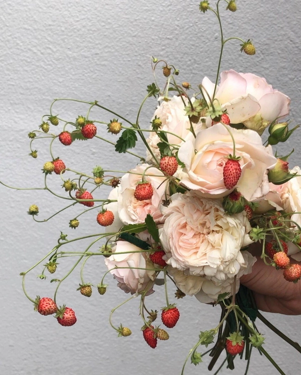 <a href="https://www.instagram.com/hart_floral/">Hart Floral</a>