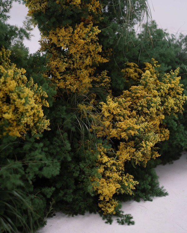 Floral Styling &amp; Photography: <a href="https://www.instagram.com/p/DIuKYcYtU1I/?img_index=3">Brancoprata</a>