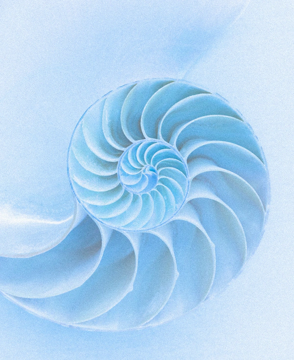 A Dreamlike Siren-Inspired Wedding With Oceanic Details in California — photo 2