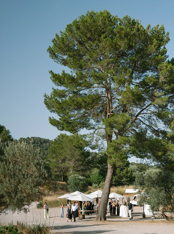 Modern Design Meets Mediterranean Ease at This Rock-Carved Vineyard Wedding in Mallorca