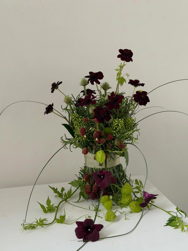 <a href="https://www.instagram.com/p/DZ60AnODyk8/?img_index=5">Médinilla</a>