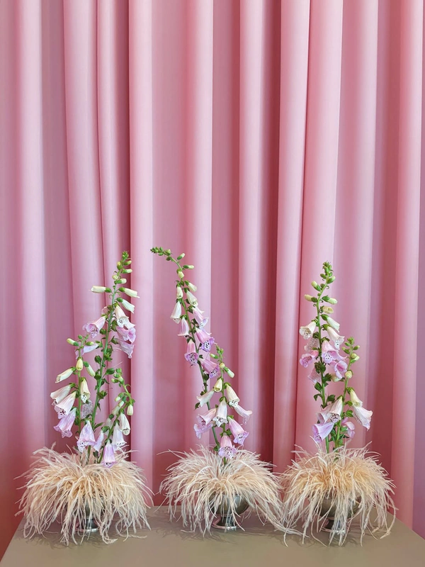 <a href="https://www.instagram.com/p/Db_TW52EZl-/?img_index=1">Bloom Bloom</a>