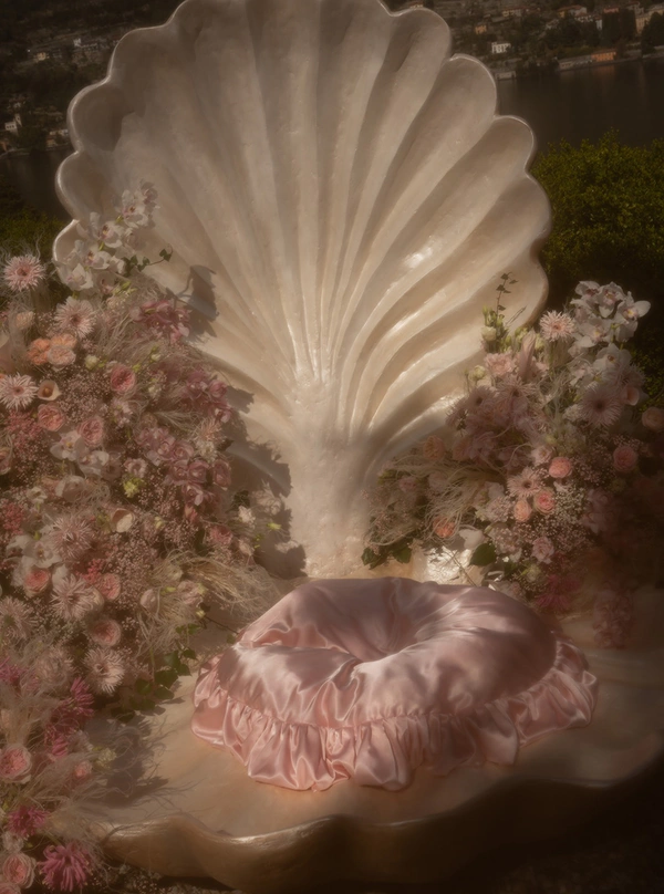 Venus Reimagined