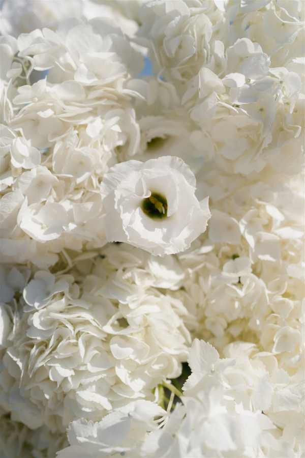 Wedding Ceremony in Healdsburg | Traditional Romantic Italian Wedding