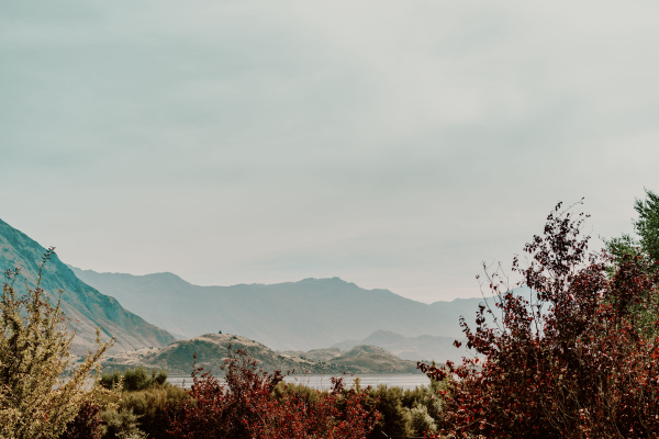 Creative Project by the Lovers Elopement