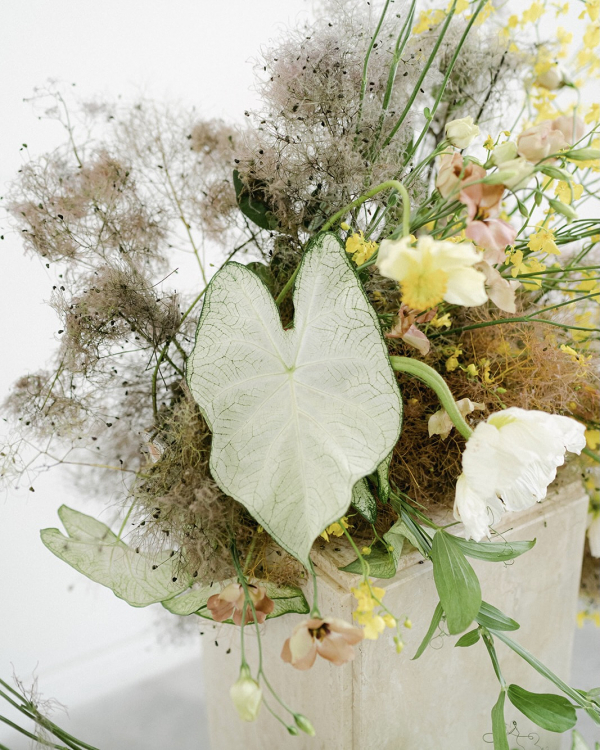 Toronto Intimate Wedding Ceremony | Alicia and Michael Floral Fantasy Wedding