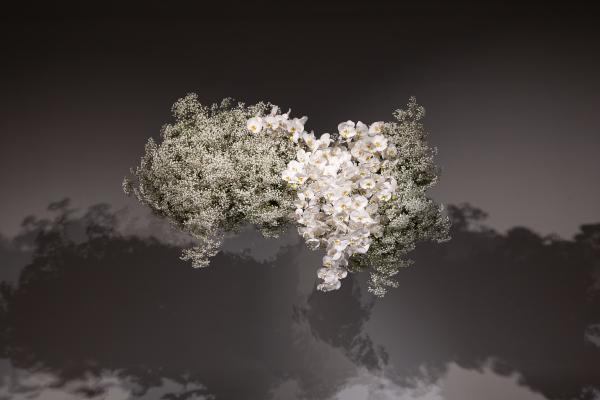 Florists Halcyon Halcyon