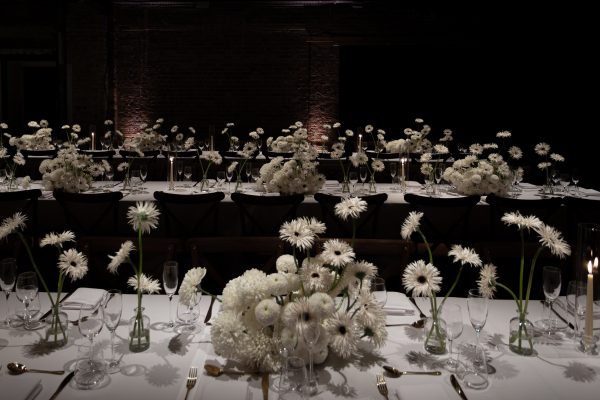 Planners Halcyon Halcyon