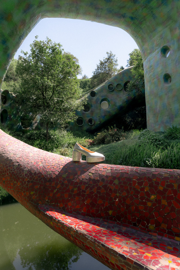 Photographers Love Bears