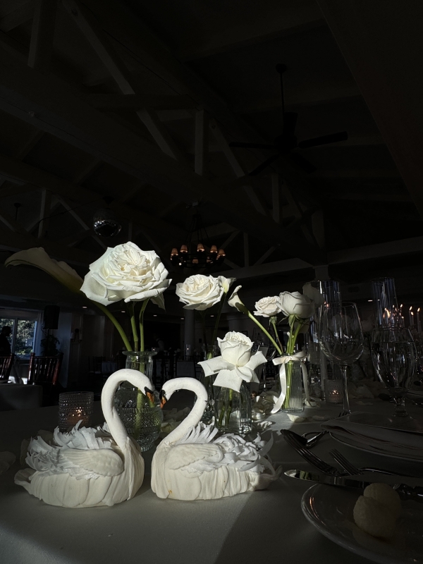 Content Creators The Content Bestie