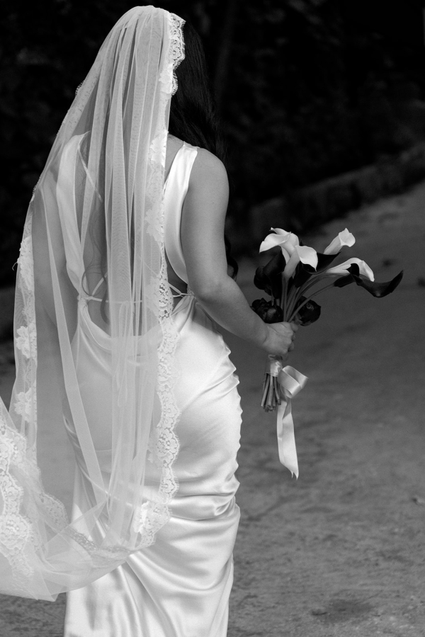 Photographers Love Bears