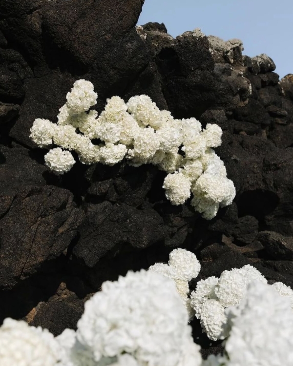 The Top 5 Colors Forecasted for 2025 Weddings