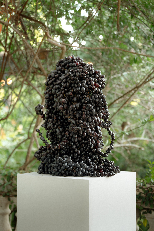 Photographers Love Bears