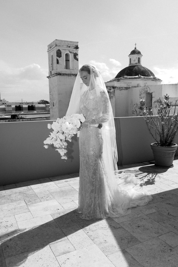 Photographers Love Bears