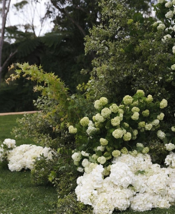 The 22 Most Stunning Weddings of 2024 | Charlie Puth and Brooke Sansone, Millie Bobby Brown and Jake Bongiovi, and more