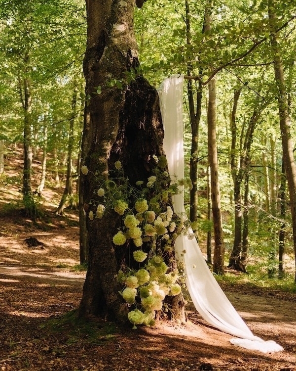 The 22 Most Stunning Weddings of 2024 | Charlie Puth and Brooke Sansone, Millie Bobby Brown and Jake Bongiovi, and more