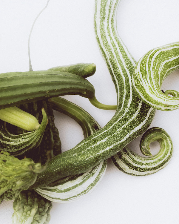 A Vibrant and Playful Wedding Under the Portuguese Sun