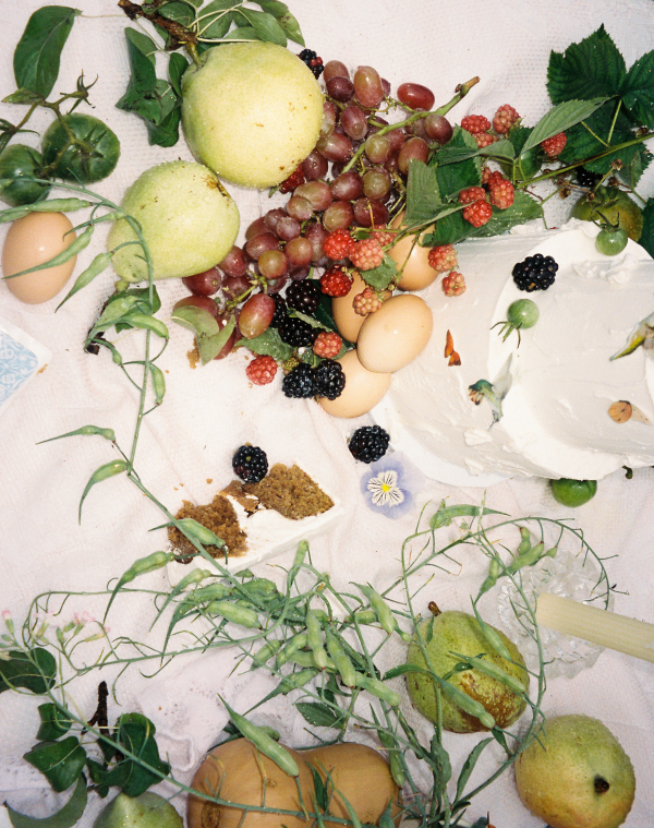 The Garden of Memories