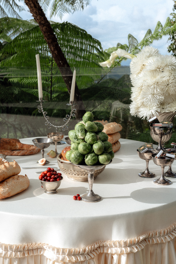 Photographers Love Bears