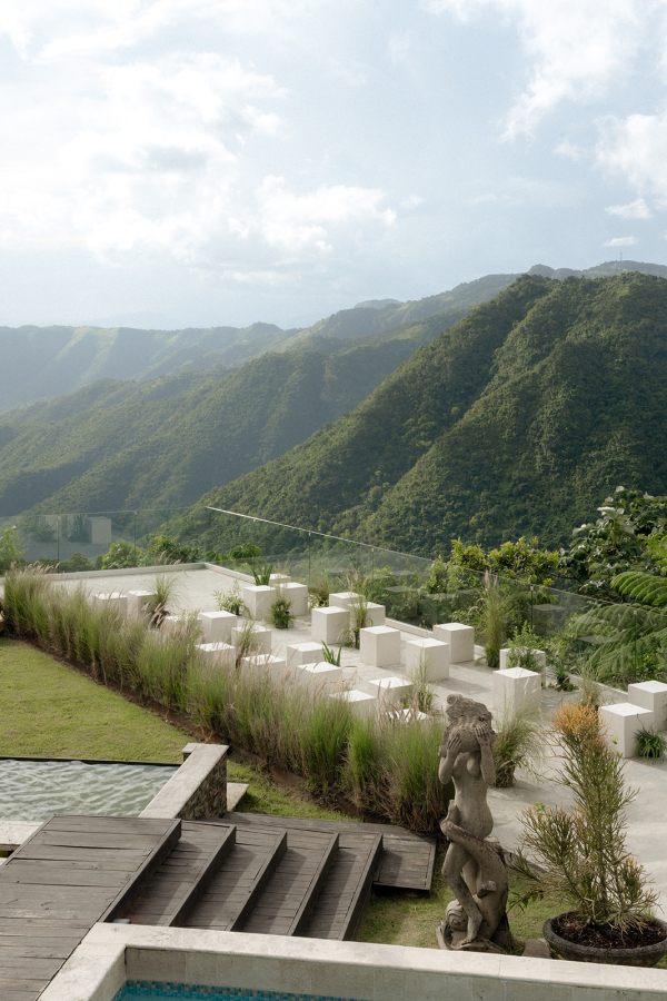 Photographers Love Bears