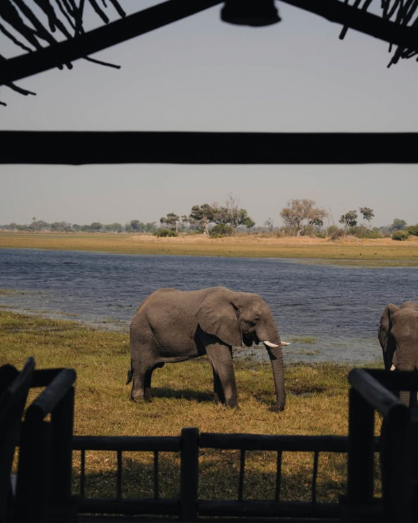 14 Luxury African Safari Lodges & Resorts for an Unforgettable Honeymoon