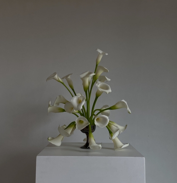 Stylists Edénique Floral Design