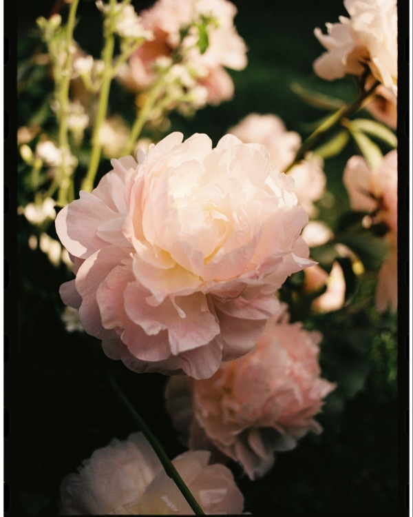 An Enchanting Amalfi Coast Villa Wedding Among the Clouds