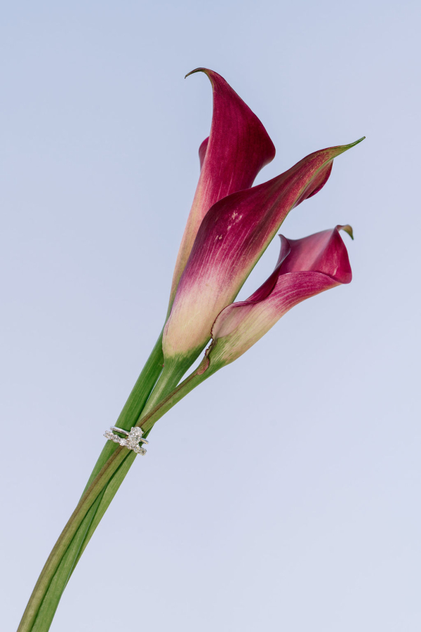 Photographers Megan Kelly