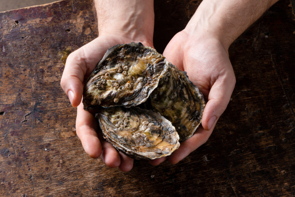 Venues Hotel Bayerischer Hof