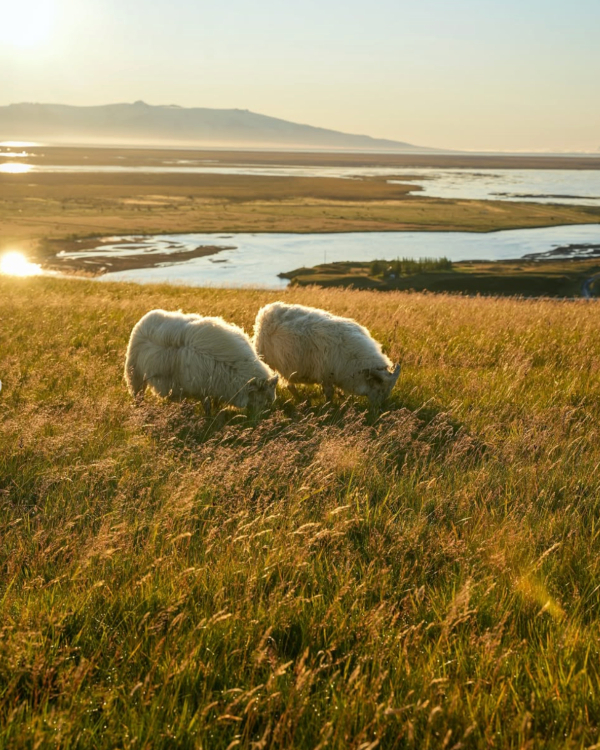 14 Coolcation Destinations Worth Escaping to in 2026