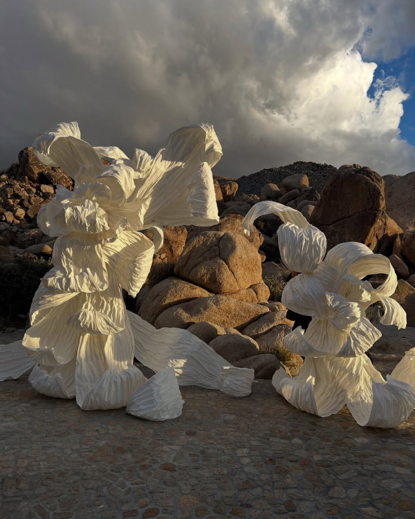 Cloud Dancer: Pantone's 2026 Color of The Year