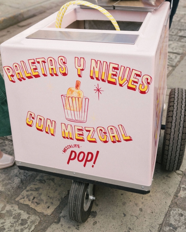 Inside Alix Traeger & Zoya Biglary’s Vibrant Wedding in Oaxaca, Mexico