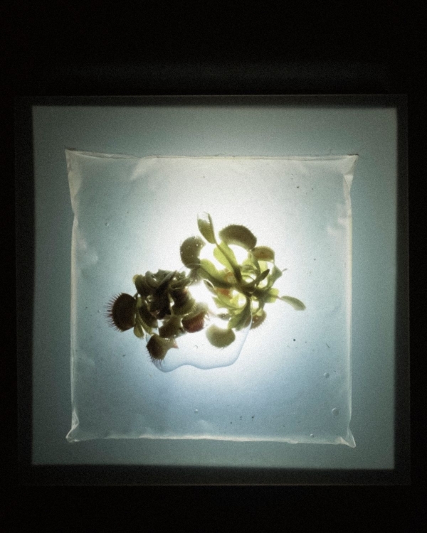 Editor’s Picks: The 20 Most Beautiful Weddings That Defined 2025