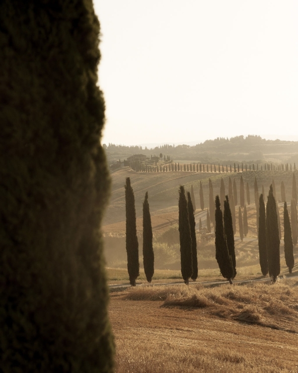 An Elevated Elopement in Tuscany with Vintage Bridal