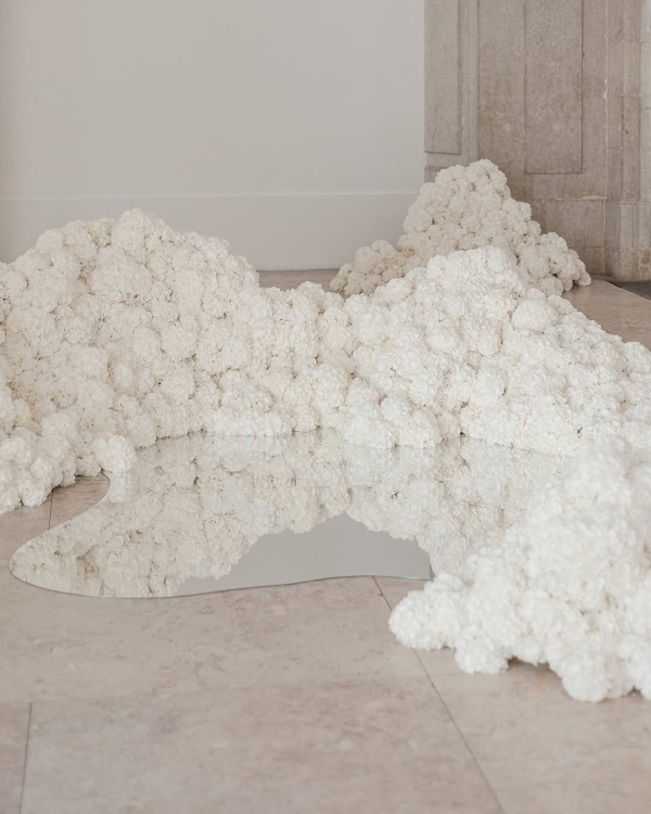 Cloud Dancer: Pantone's 2026 Color of The Year